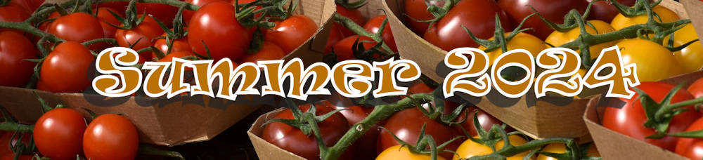 Banner.jpg