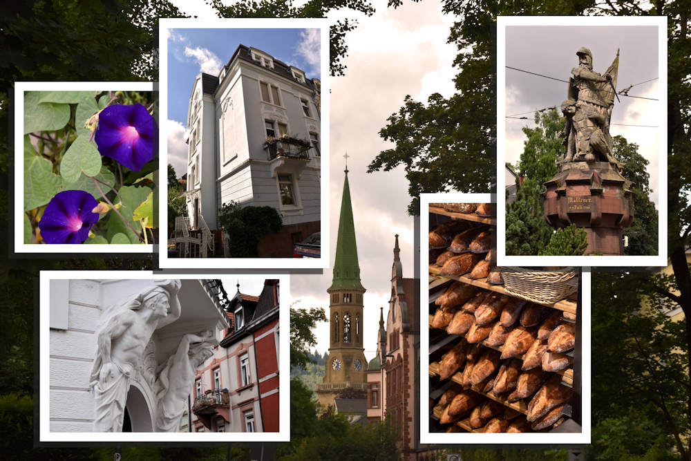 Collage 08 cp.jpg