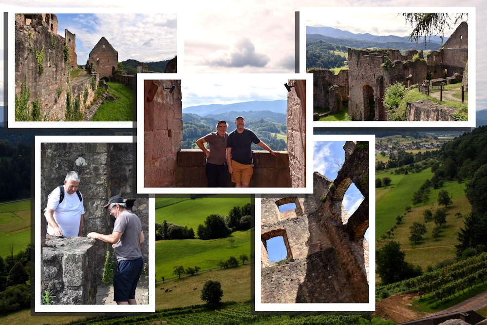 Collage 08 cs.jpg