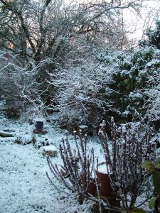 Garden Snow