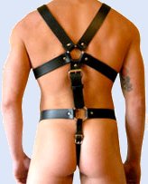 A Harness