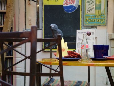 I Delft parrot.jpg