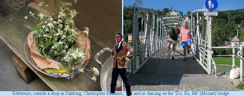 Salzburg Edelweiss2.jpg
