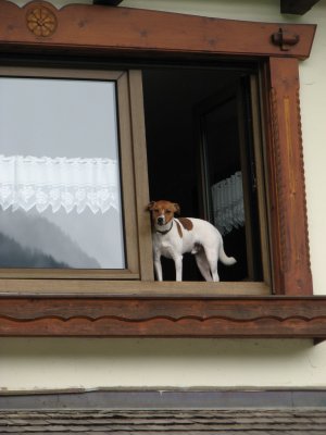 Salzburg Xtra m.jpg