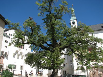 Salzburg f.jpg