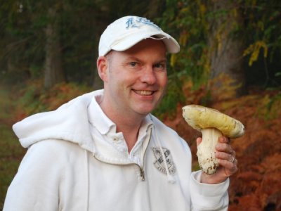 Porcini