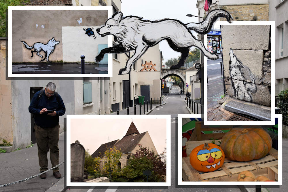 Collage 11 ba.jpg