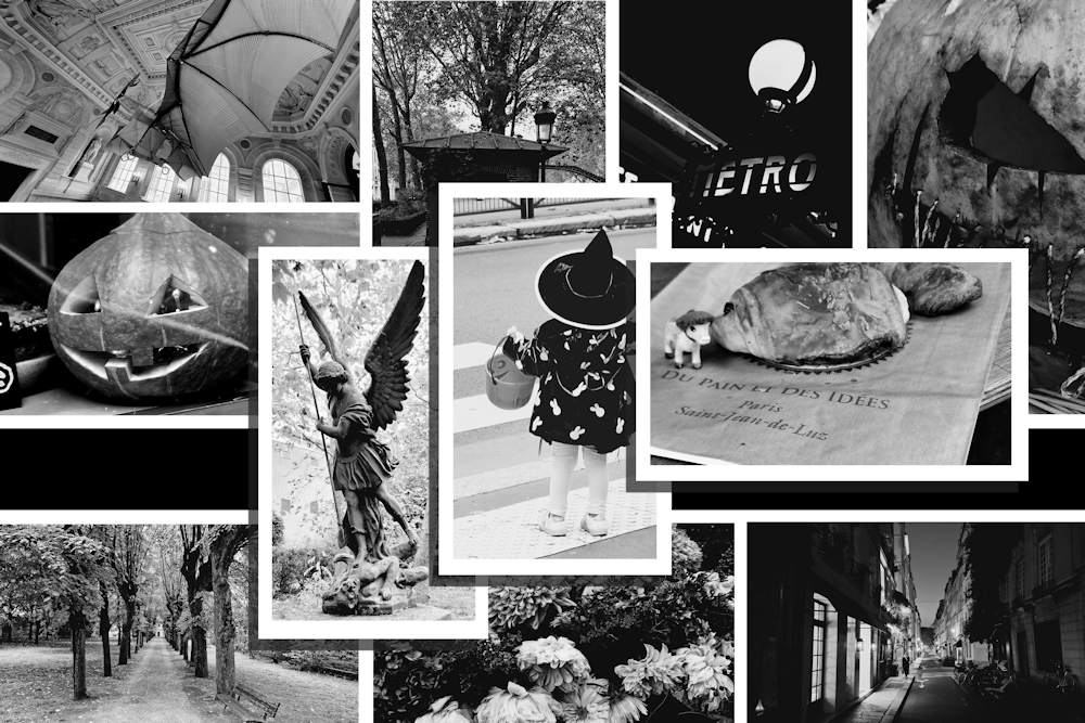 Collage 11 bg.jpg