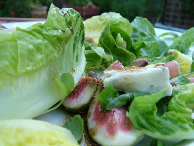 Figs