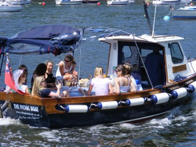 Devon Picnic boat
