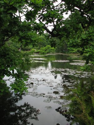 Food Festival water garden