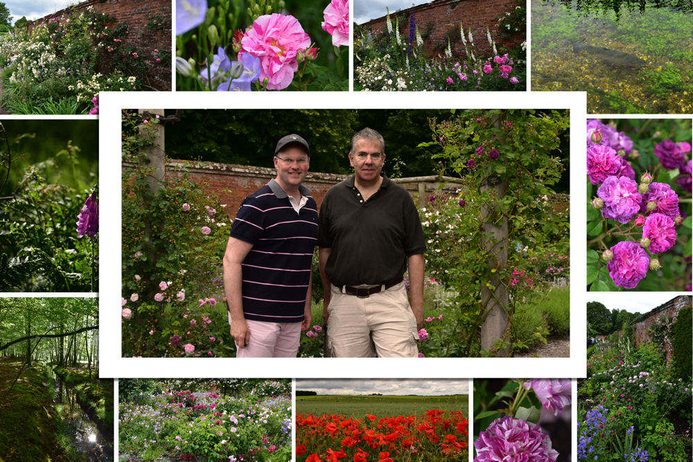 {short description of image}