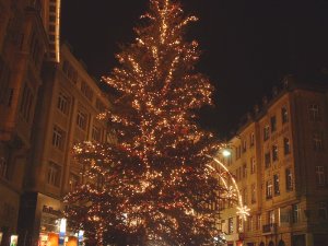 Basel tree