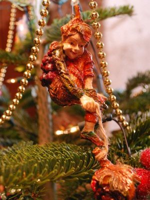 December Vendee jn2.jpg