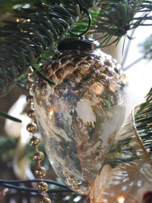 December Vendee lh.jpg