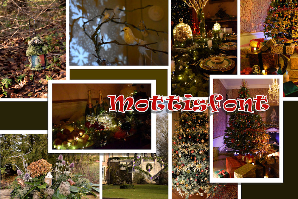 Collage 12 aa.jpg