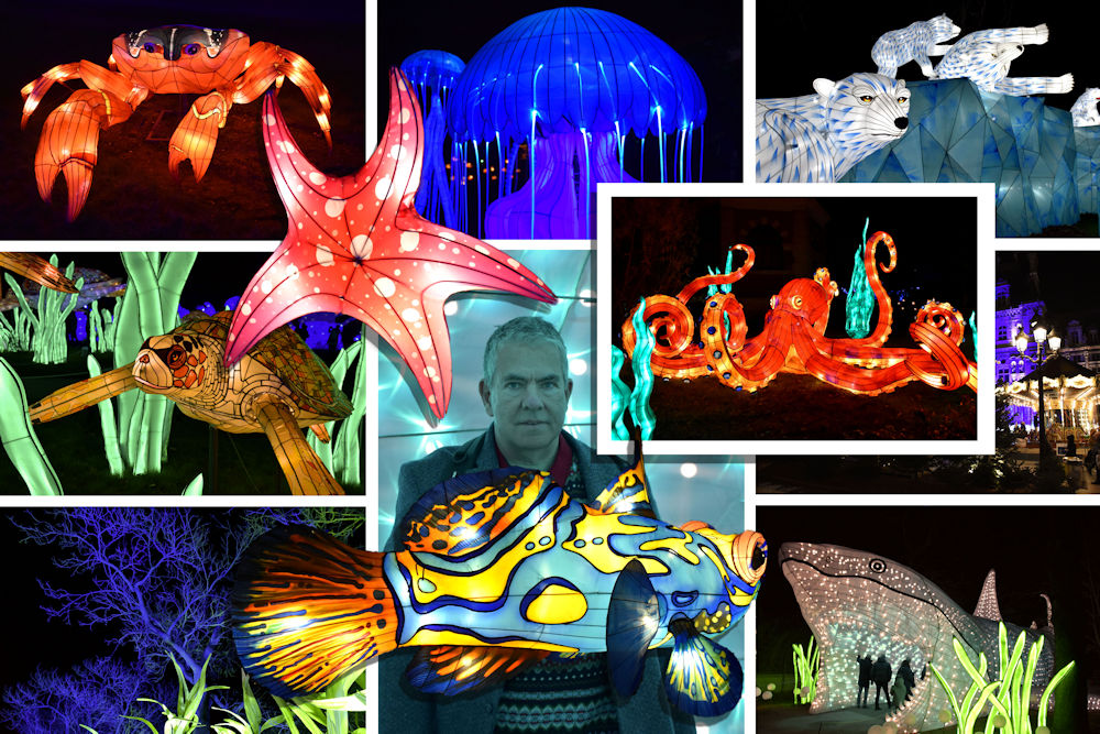 Collage 12 bi.jpg
