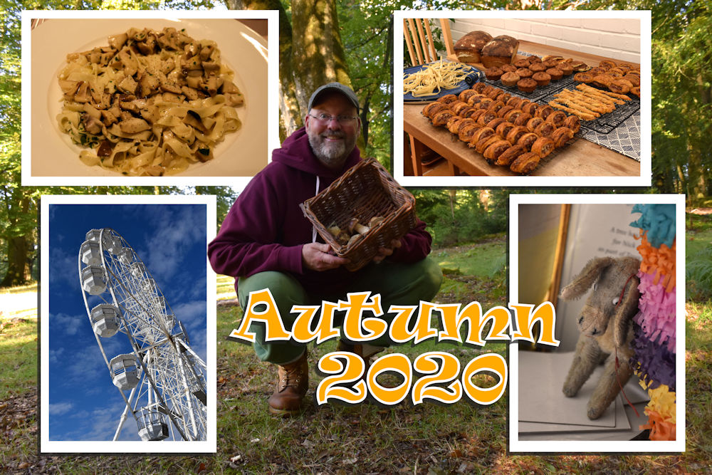 {short description of image}