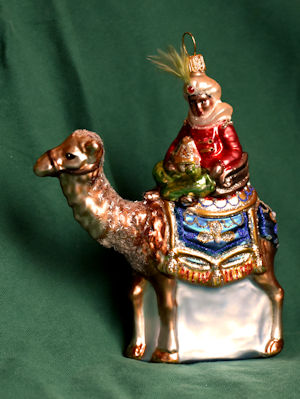 2019 Rotterdam 2.jpg