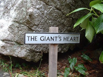 Giants sign