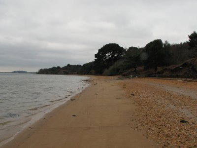 Brownsea beach.jpg