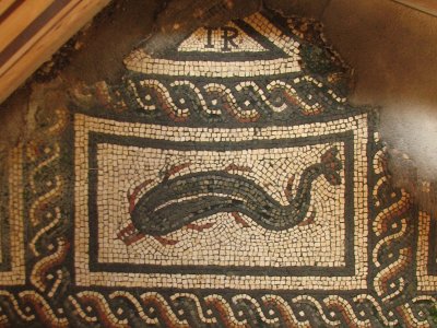 Mosaic dolphin