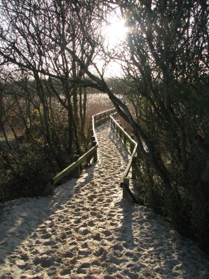 Studland walk