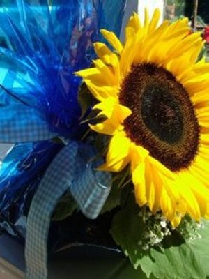 V Hastings cookies.jpg