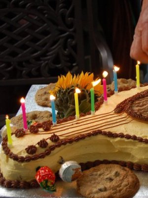 V Guitar cake 1.jpg