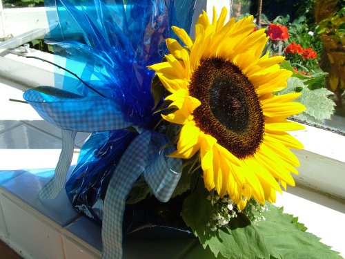 Hastings Cookies 2.jpg