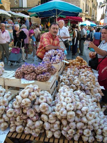 Sarlat garlic.jpg