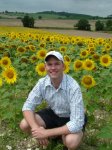 Sunflowers GTN.jpg