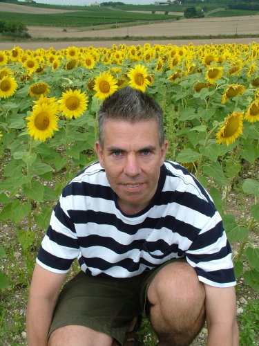 Sunflowers N.jpg