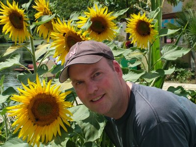 5 Coulon G Sunflowers.jpg