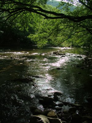 O River 2.jpg