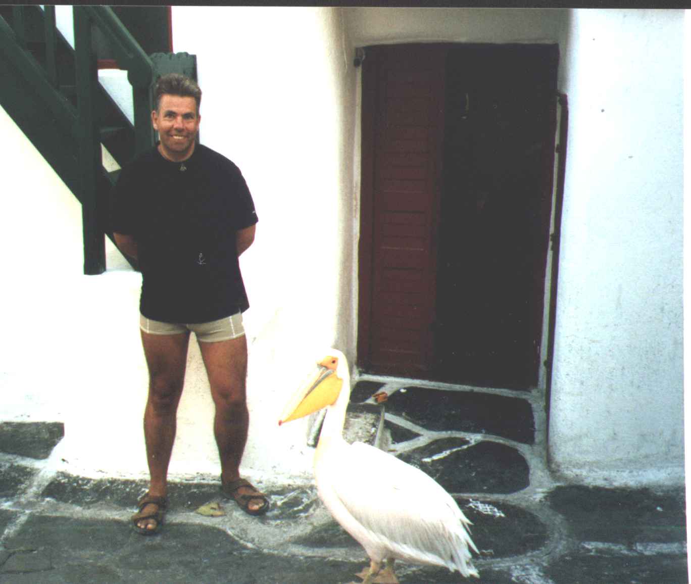 Nick pelican