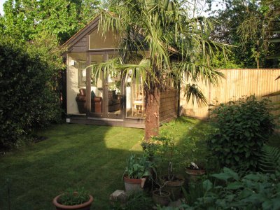 Back garden