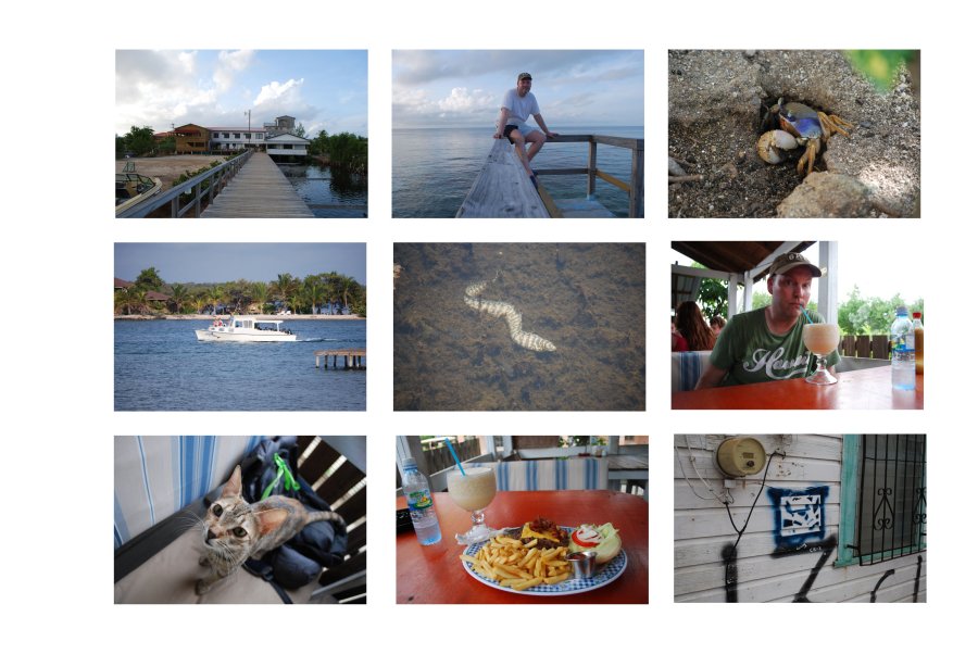 Collage July Honduras e