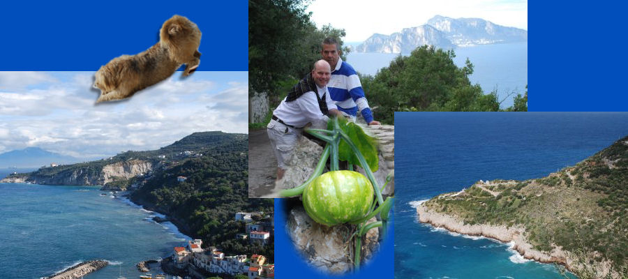 Collage za