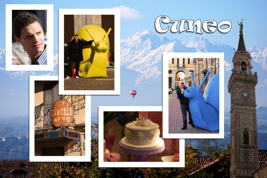 Collage Oct o