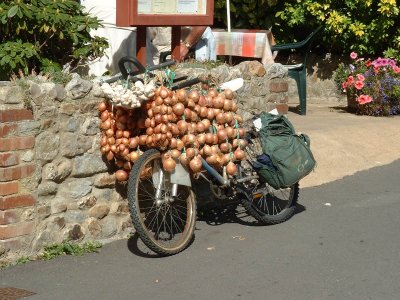 Onion cycle