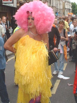 Pink Wig