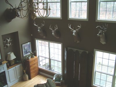 Deer room