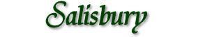 Banner Salisbury