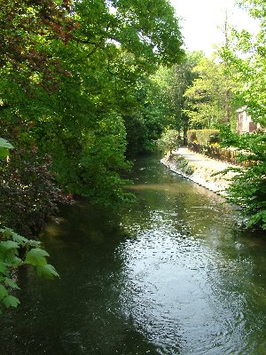 Salisbury d.jpg