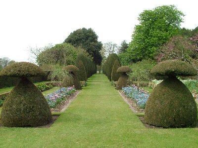 f Hinton Ampner lawn