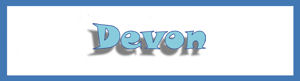 Devon Banner