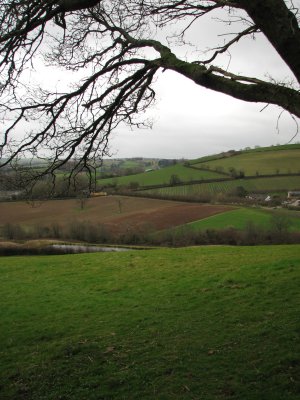 Devon i