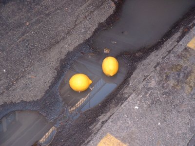 Gutter