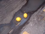 Gutter lemons